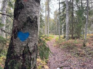 bieni well being in the forest